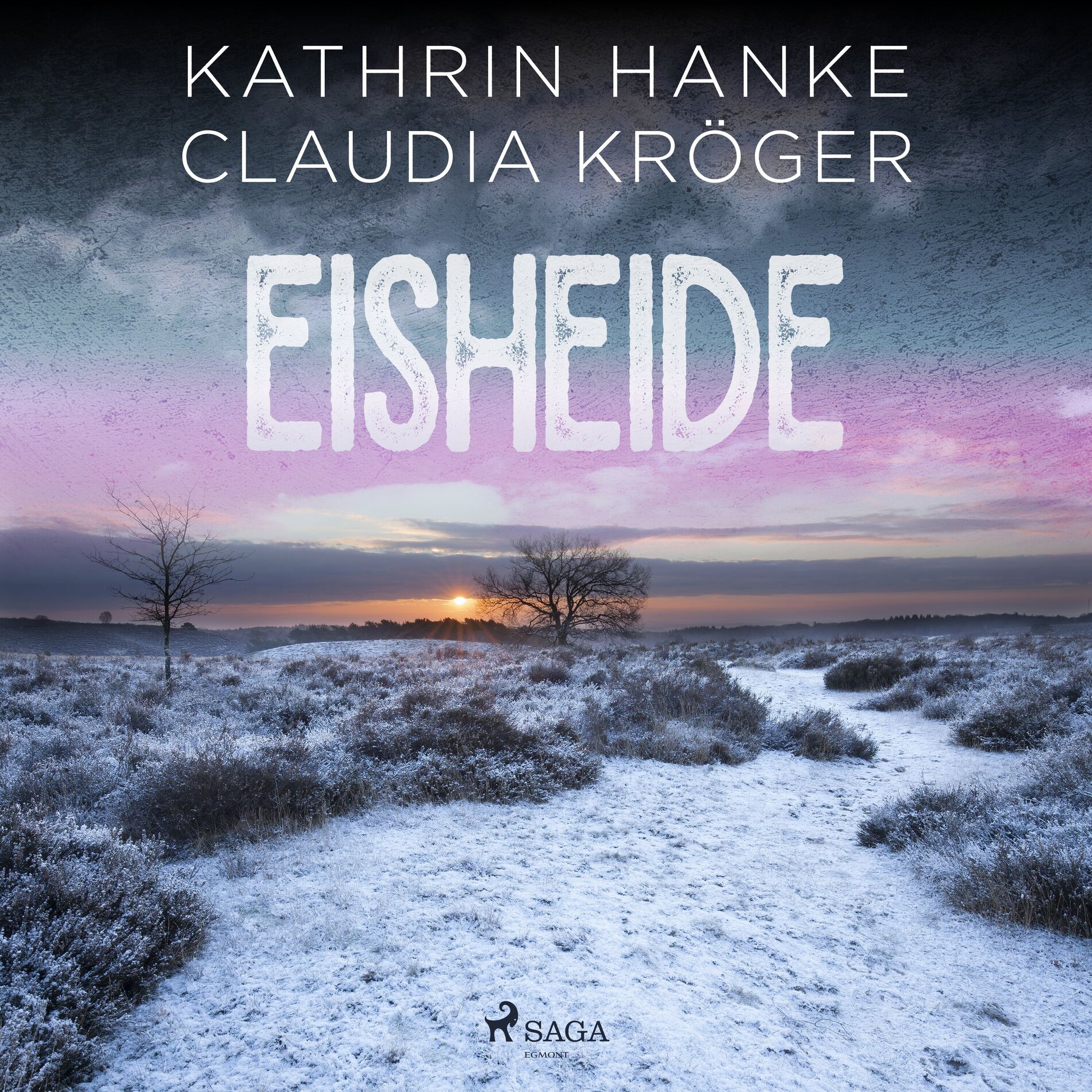 Album cover of Eisheide (Katharina von Hagemann, Band 3)
