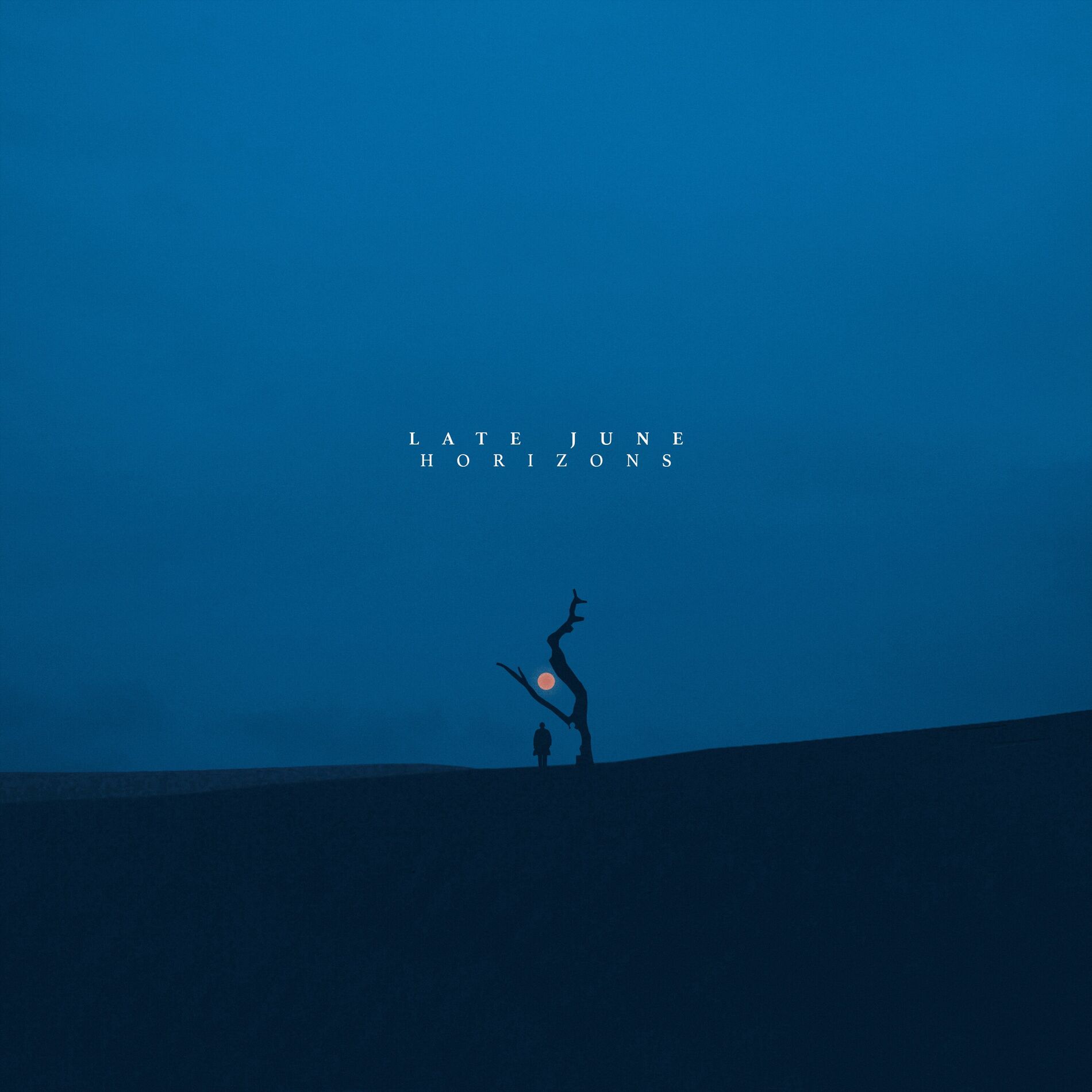 Album cover of Sky Fleur