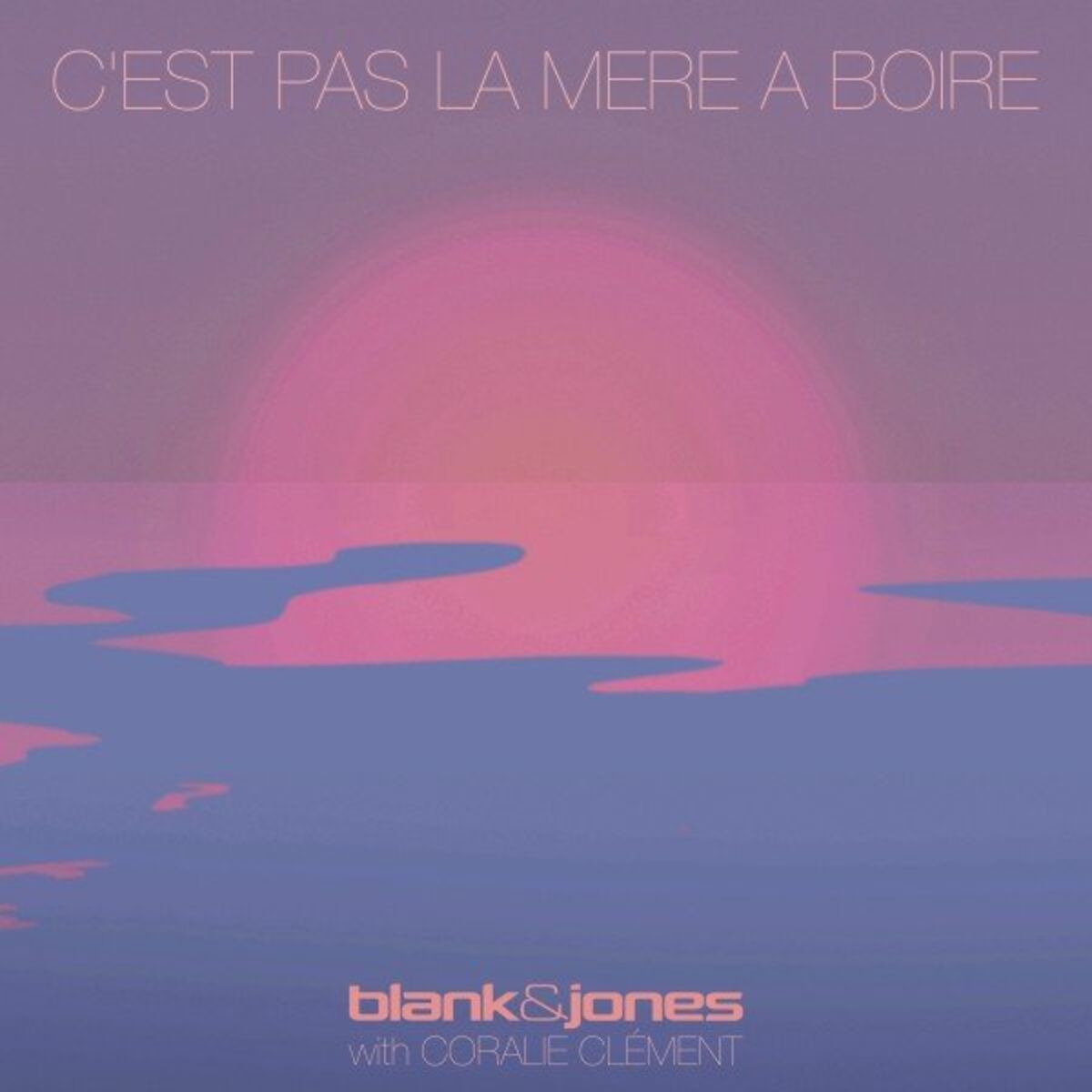 Album cover of C'est Pas La Mer à Boire