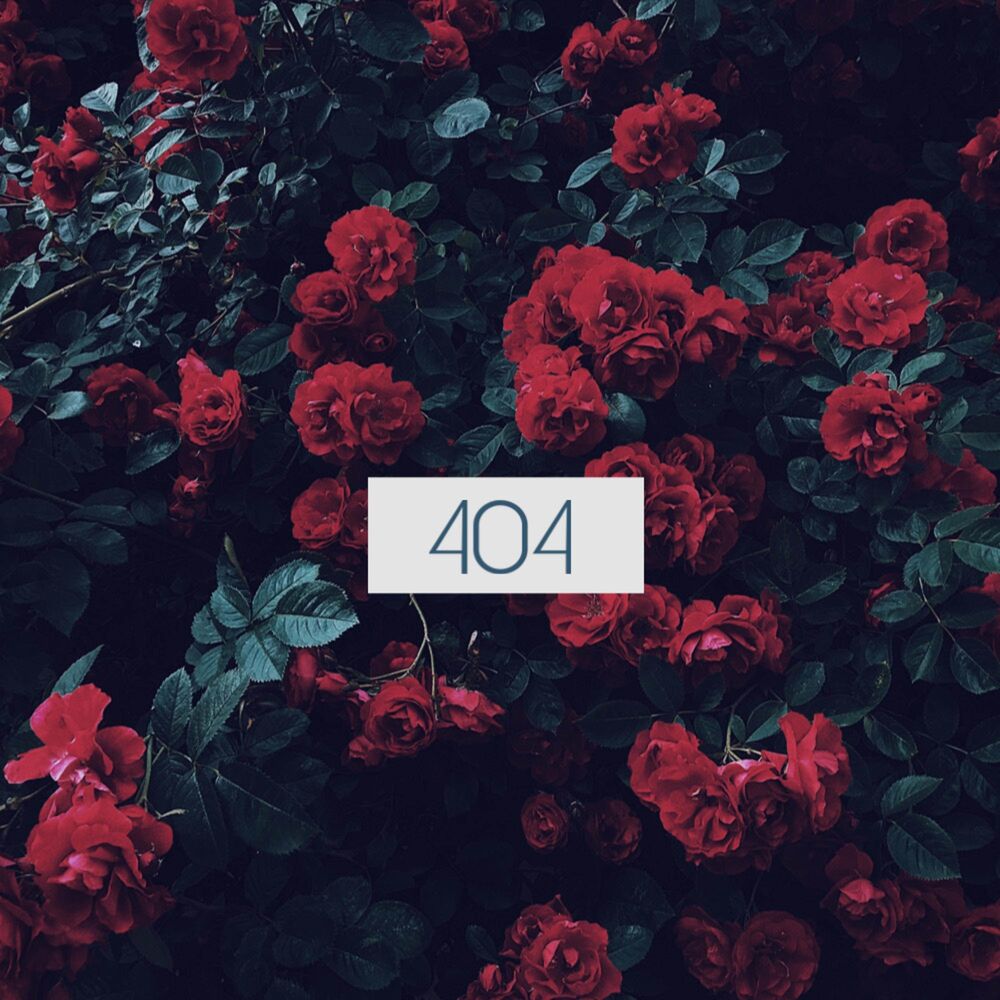 Picture of Error 404