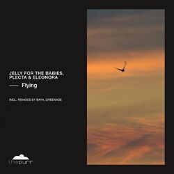 Cover of Flying