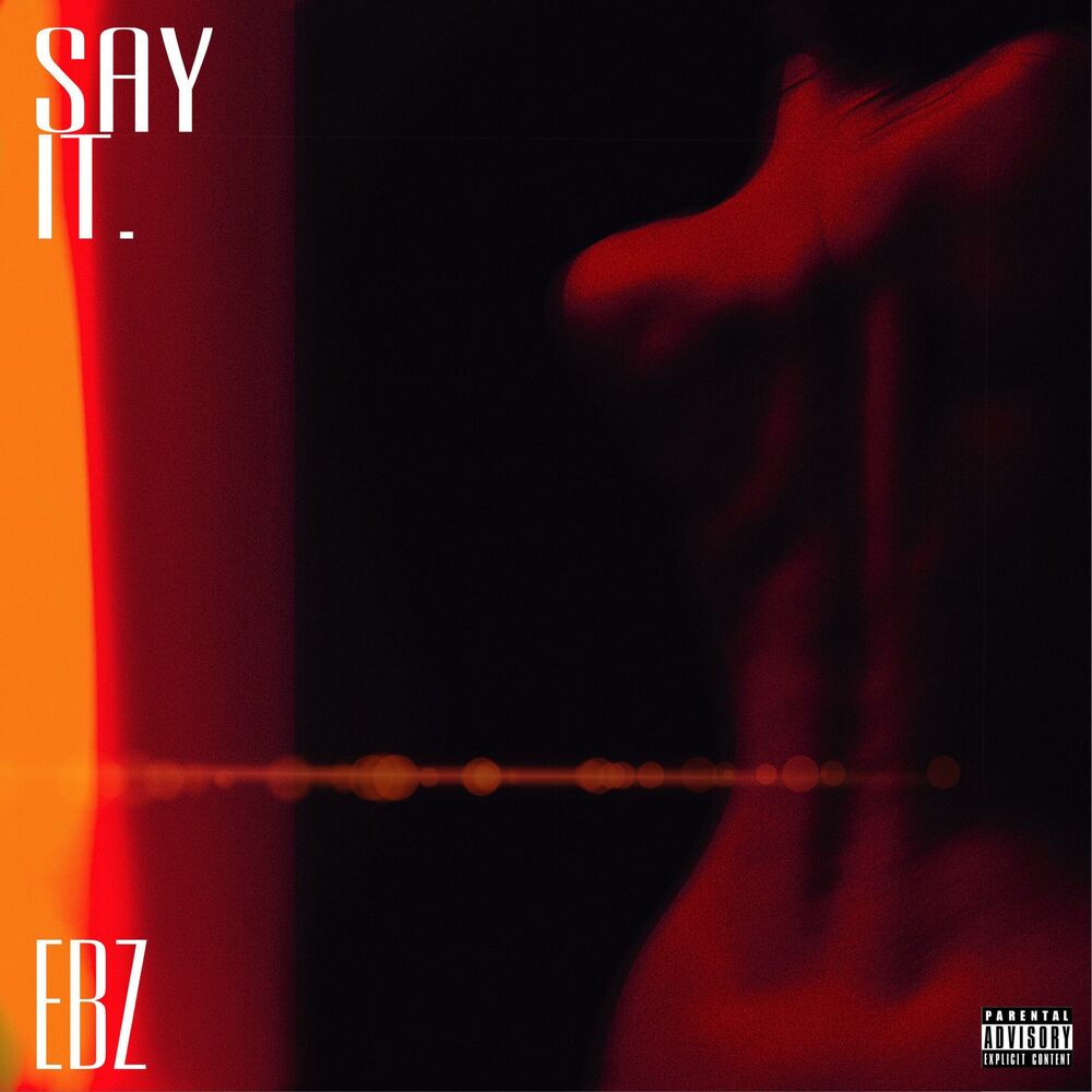 Picture of Say It.