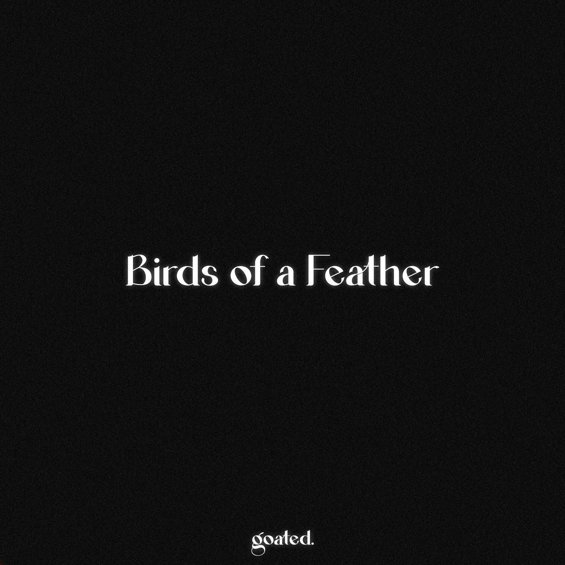 Album cover of Birds of a Feather (Piano Version)