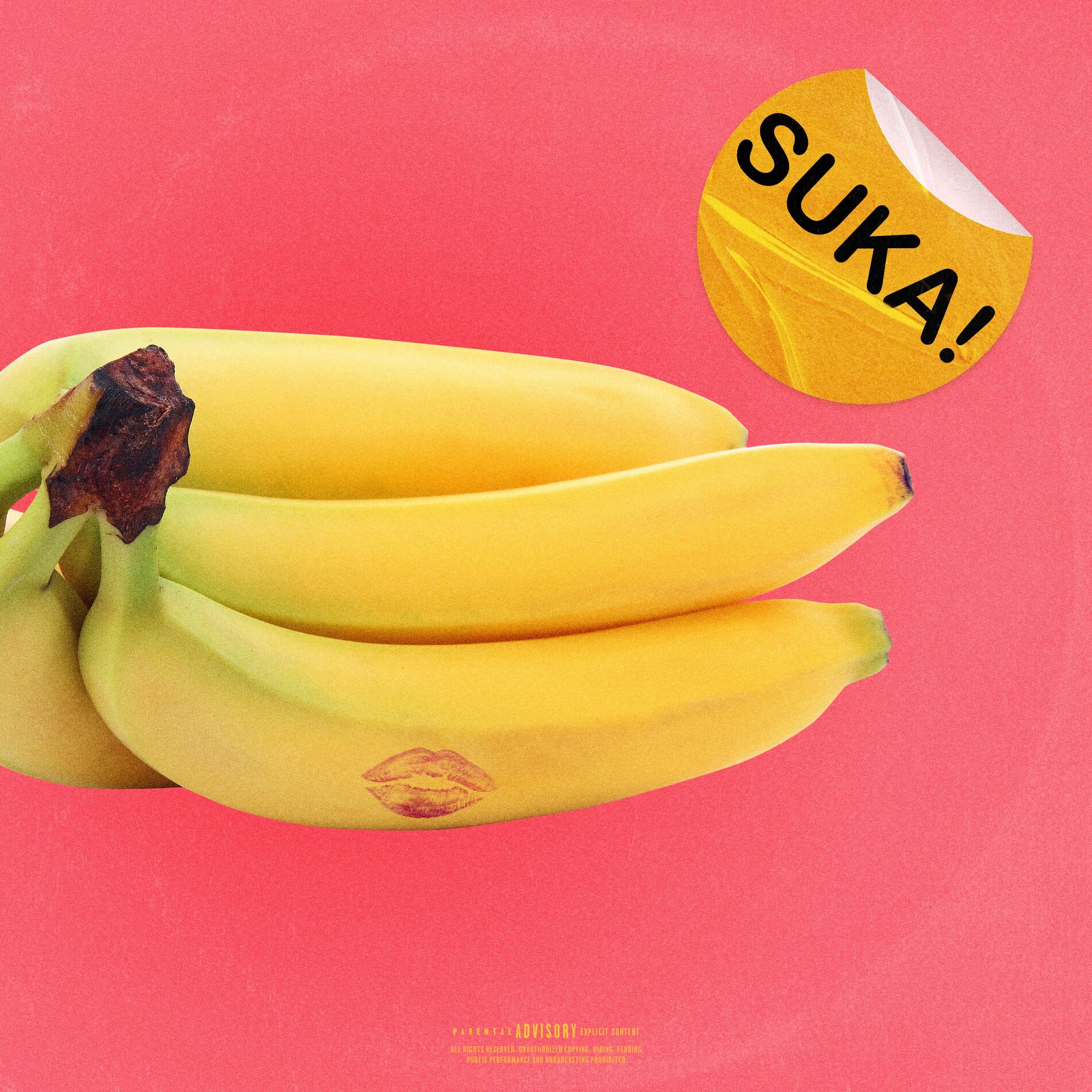 Album cover of SUKA!
