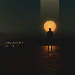 Cover of you are my shine