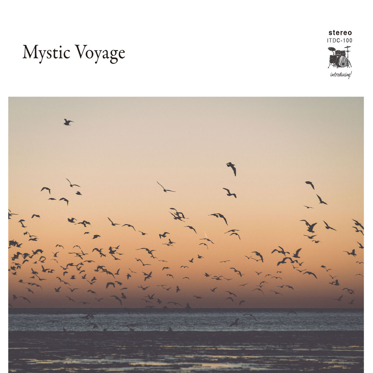 Album cover of Mystic Voyage