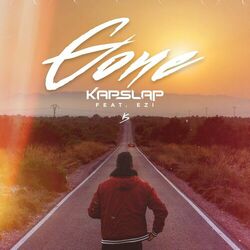 Cover of Gone