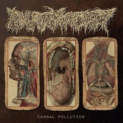 Cover of Carnal Pollution