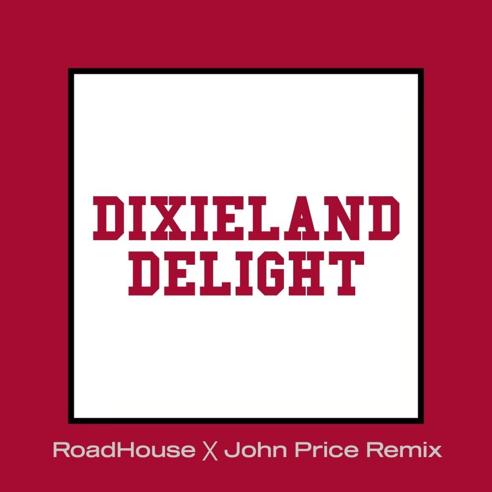 Picture of Dixieland Delight (Alabama Remix)