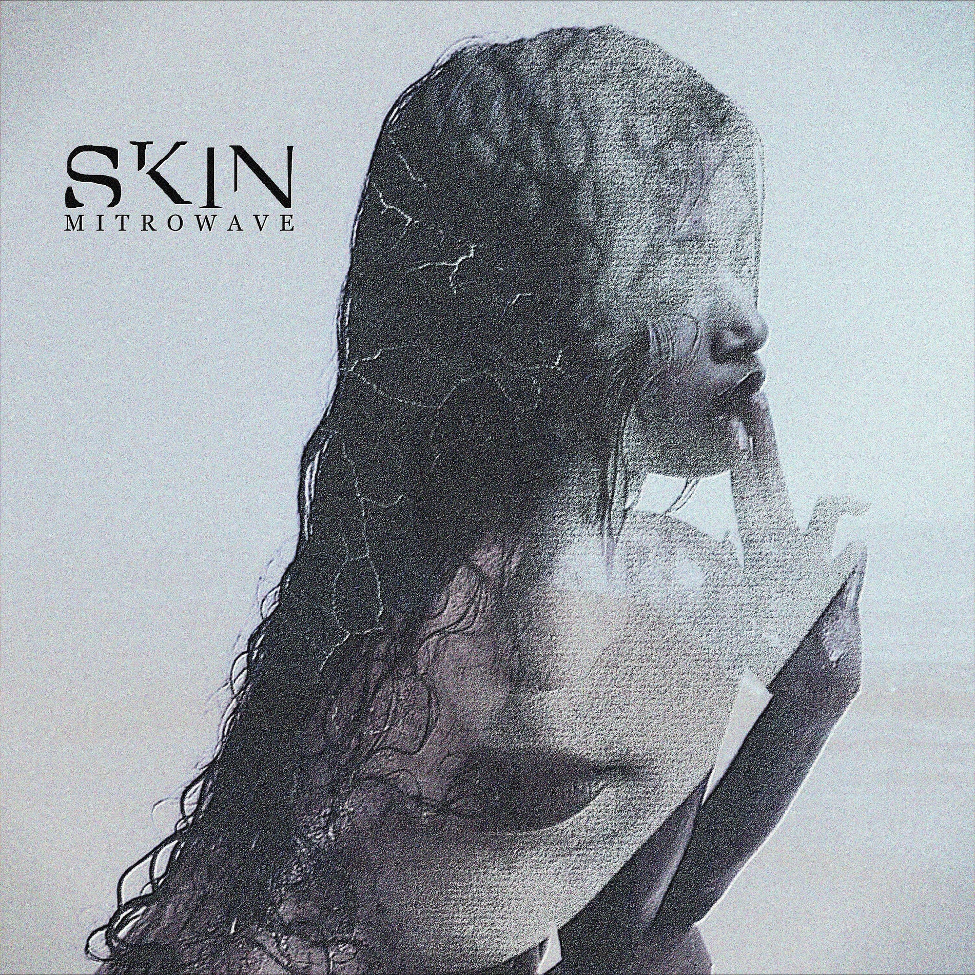 Album cover of Skin