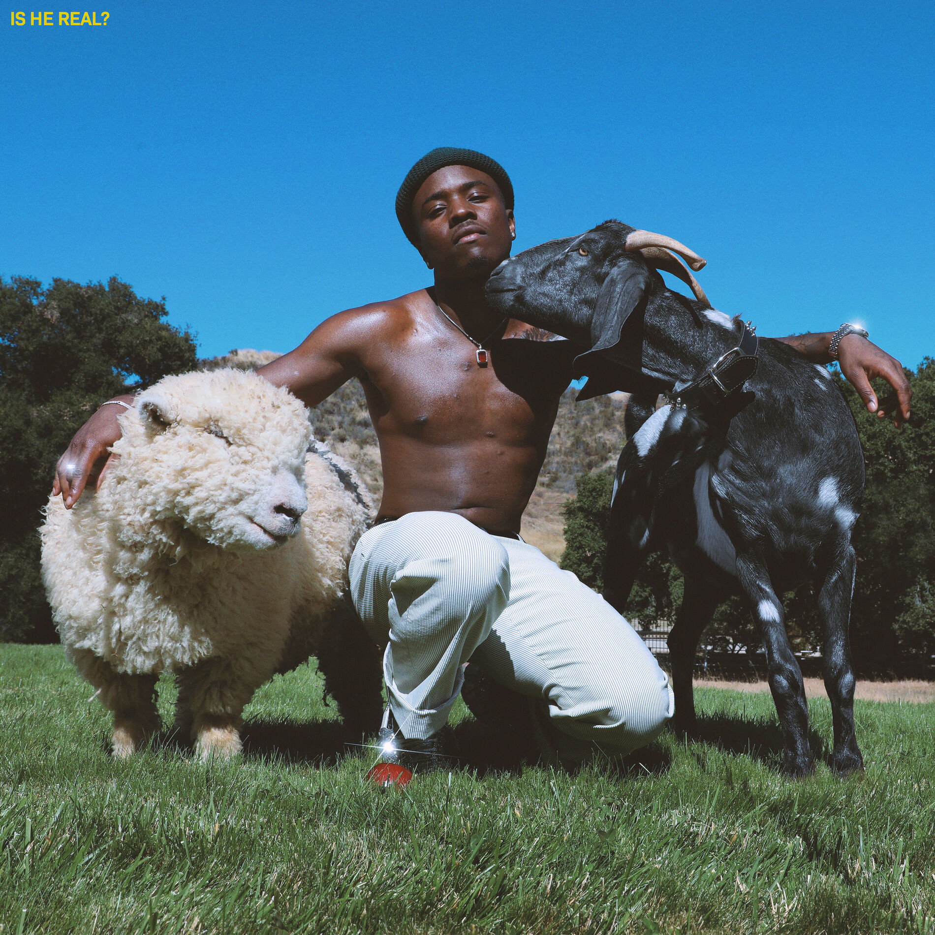Album cover of December