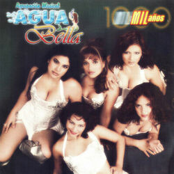 Cover of Mil Años