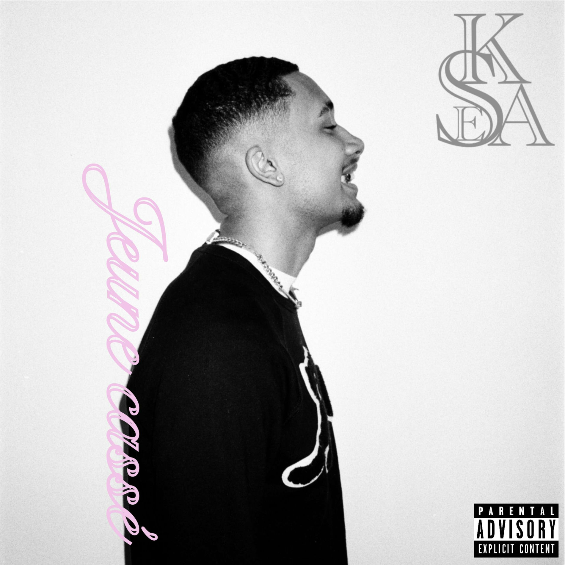 Album cover of Jeune cassé