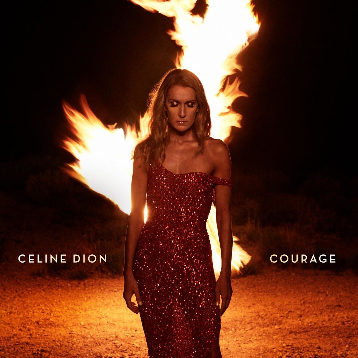 Album cover of Imperfections