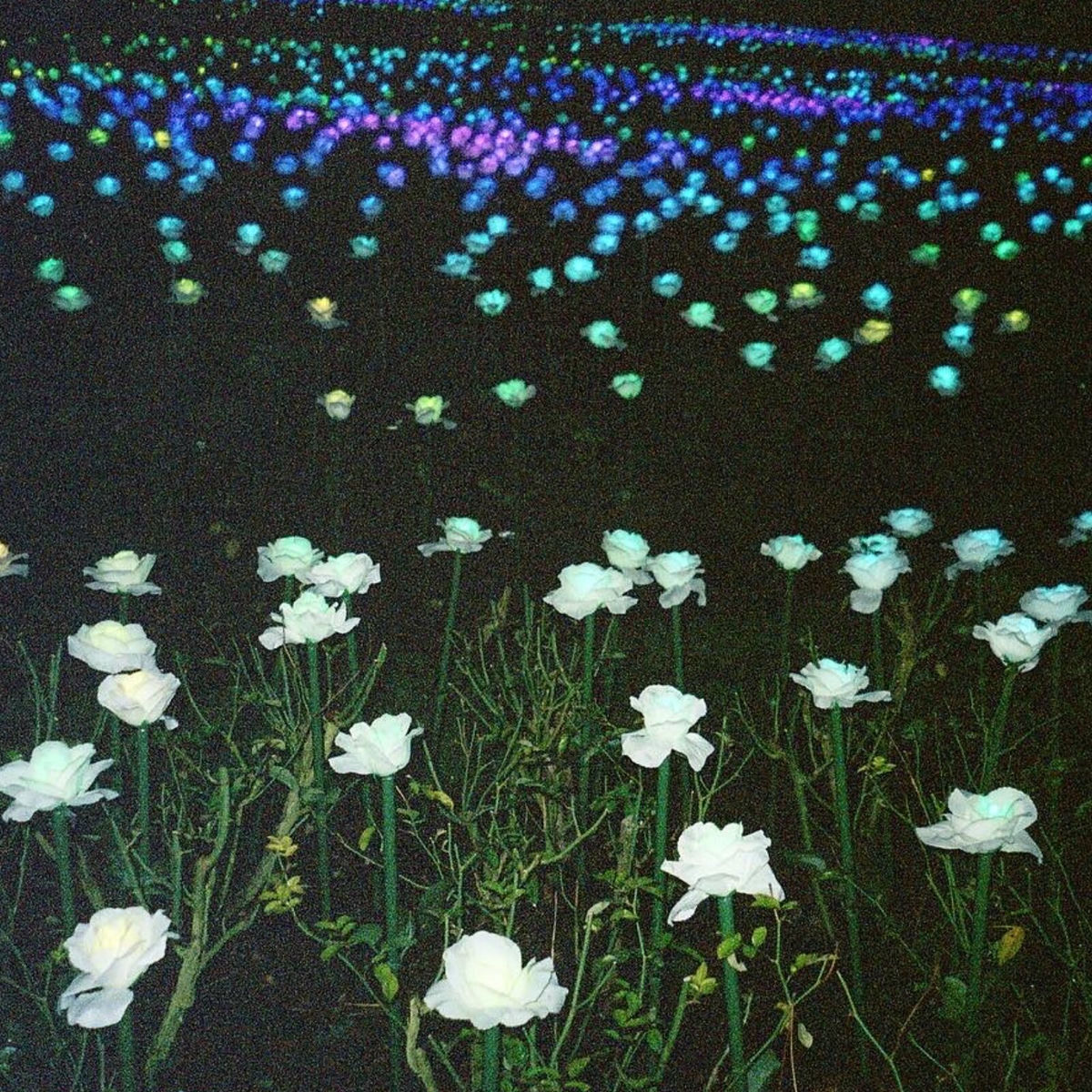 Album cover of The Dark