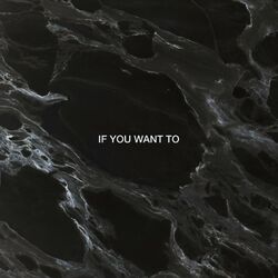 Cover of If You Want To (Dimension Remix)