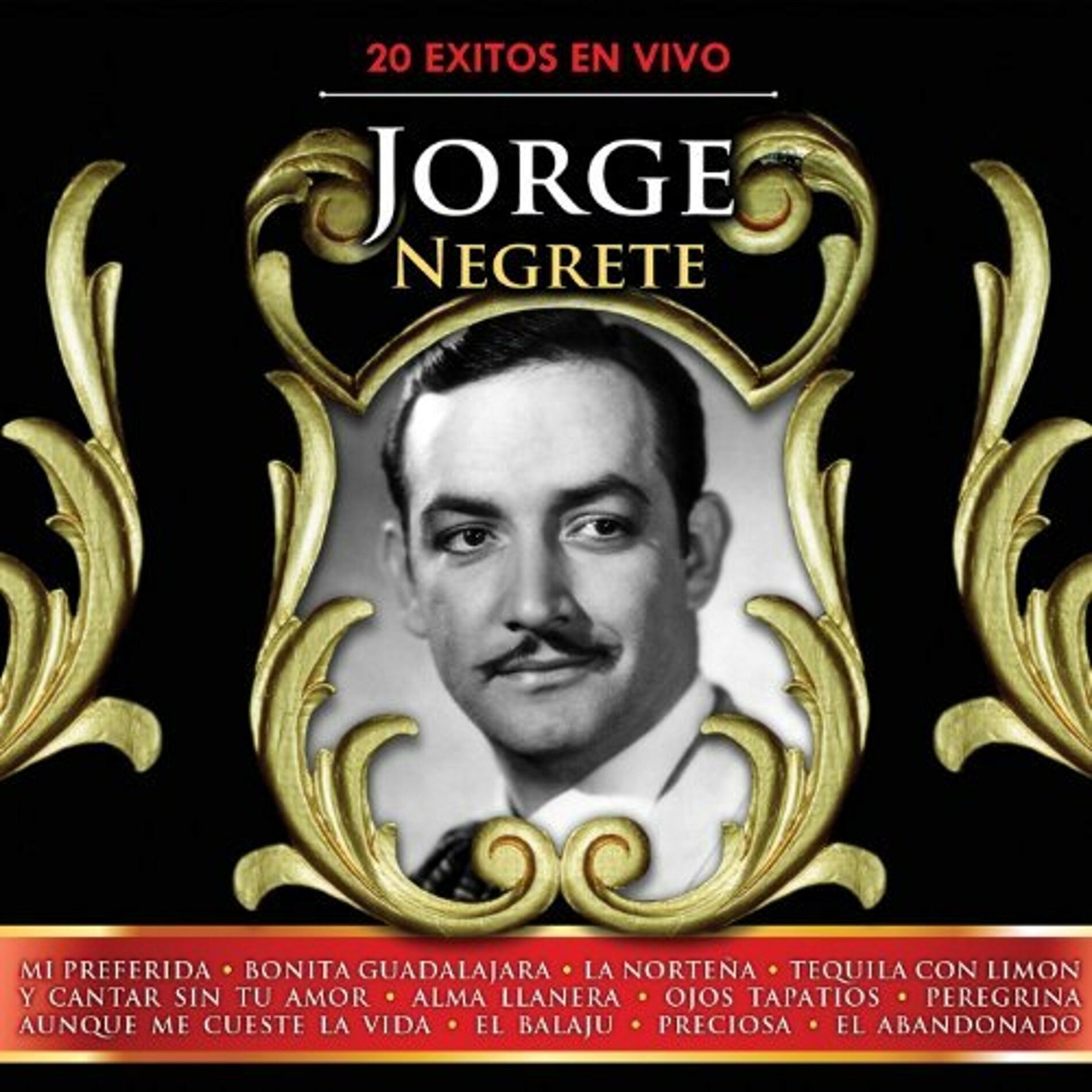 Album cover of 20 Exitos en Vivo