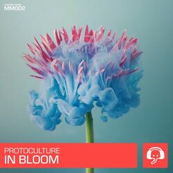 Cover of In Bloom