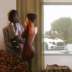 Cover of Spending