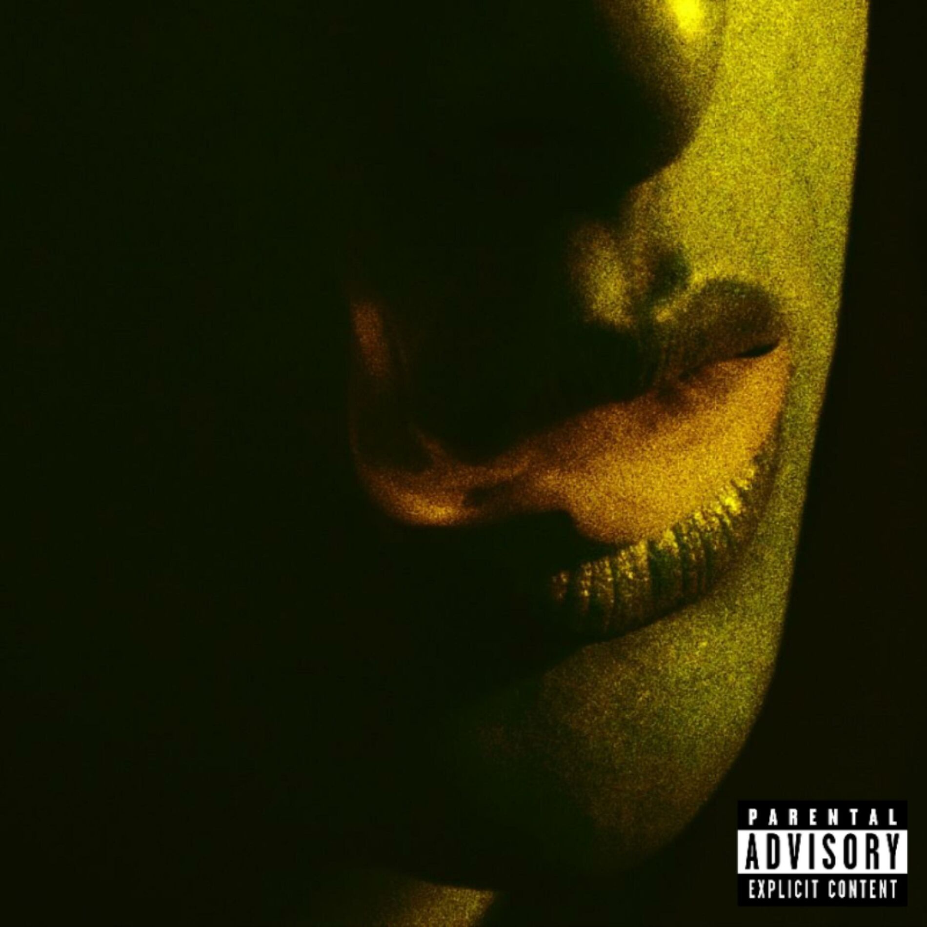 Album cover of TYLER DURDEN
