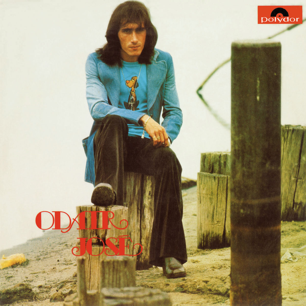 Album cover of Uma Vida Só (Pare De Tomar A Pílula)