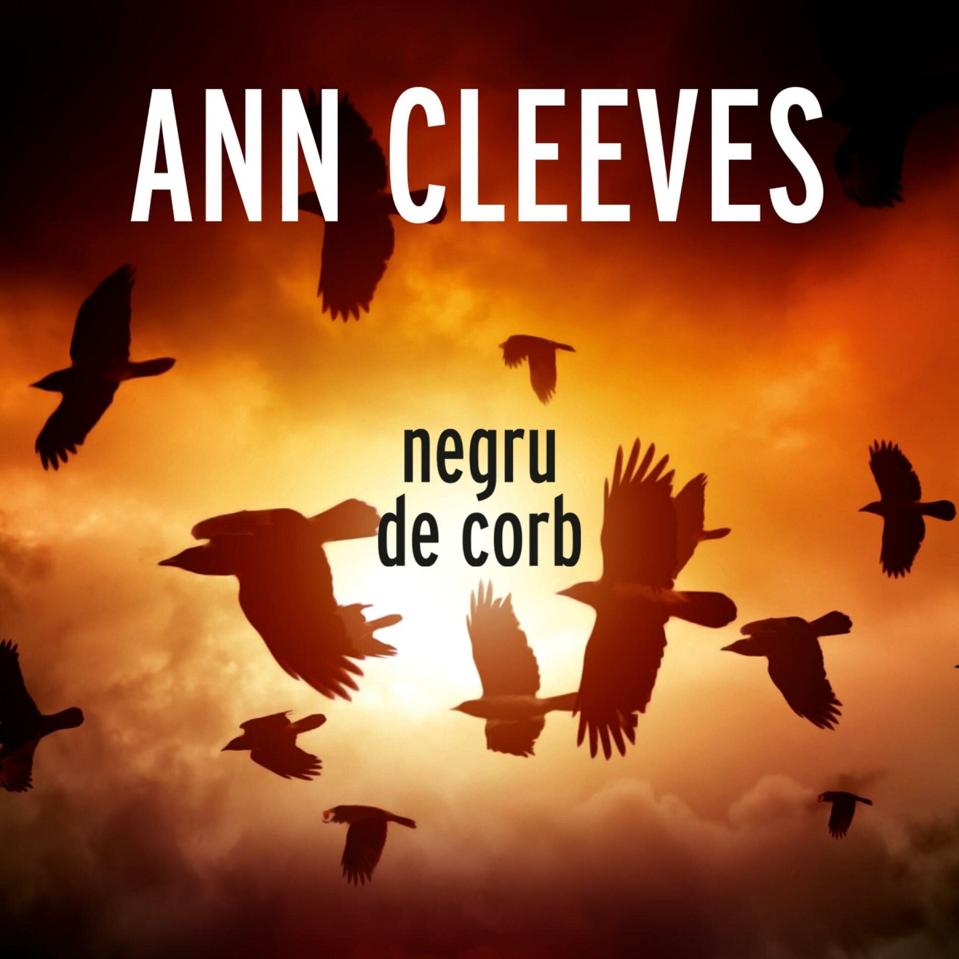Album cover of Negru de corb