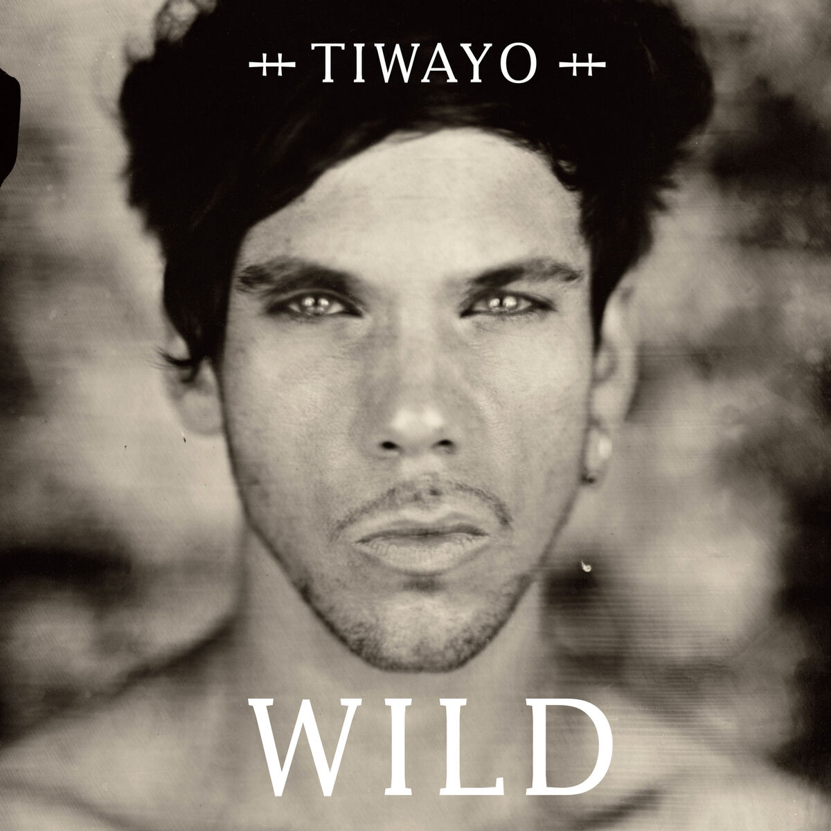 Album cover of Wild