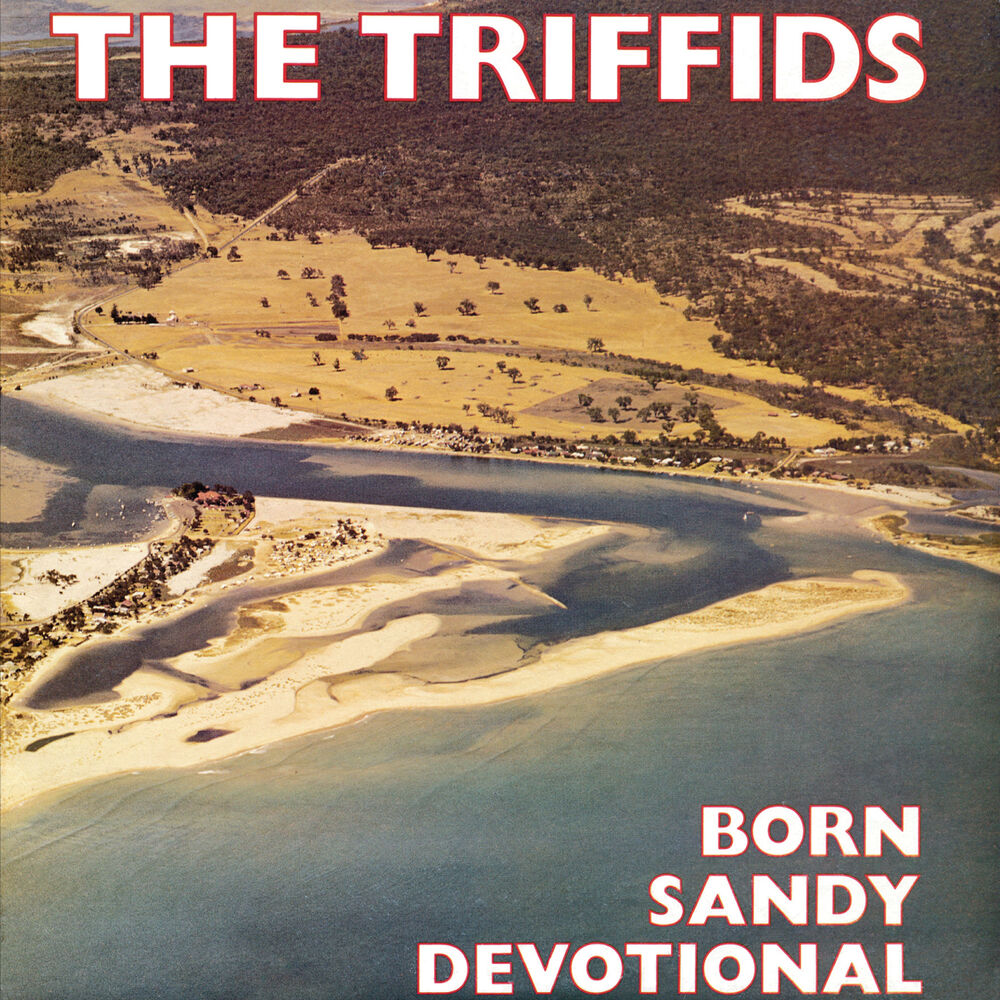 Picture of Born Sandy Devotional
