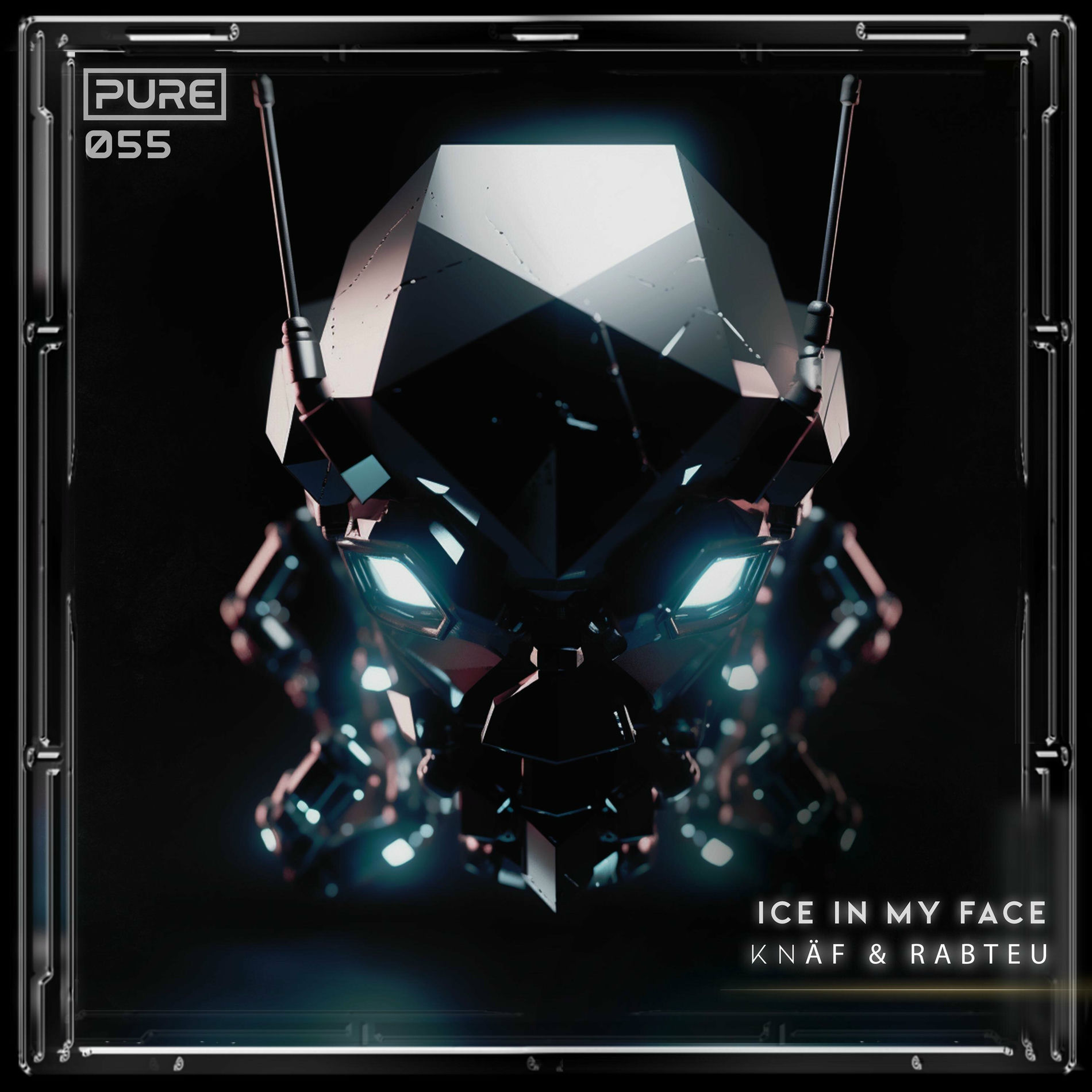Album cover of ICE IN MY FÄCE