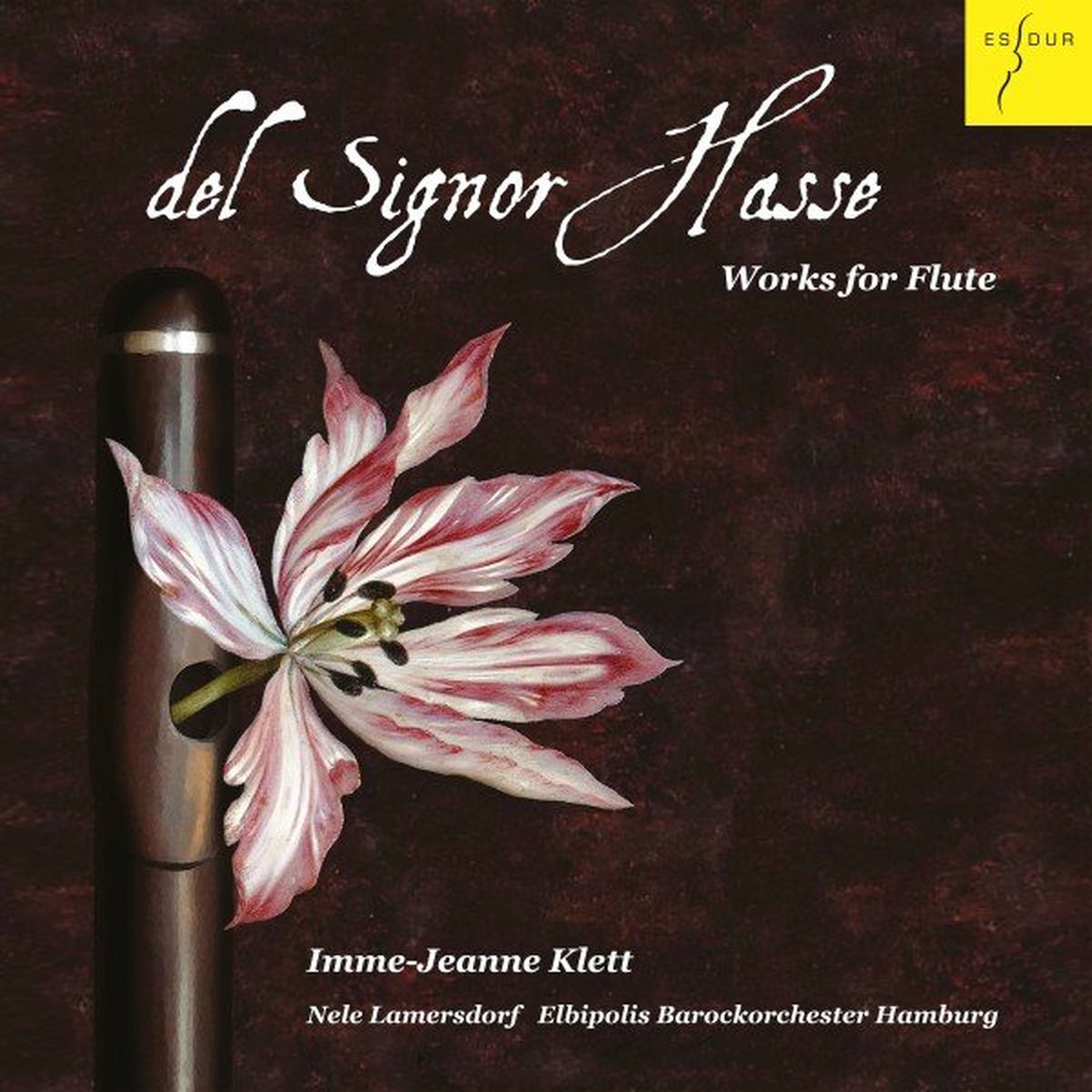Album cover of Concerto for Flute, Strings and Basso Continuo in B Minor, Op. 3,10: I. Allegro non Molto