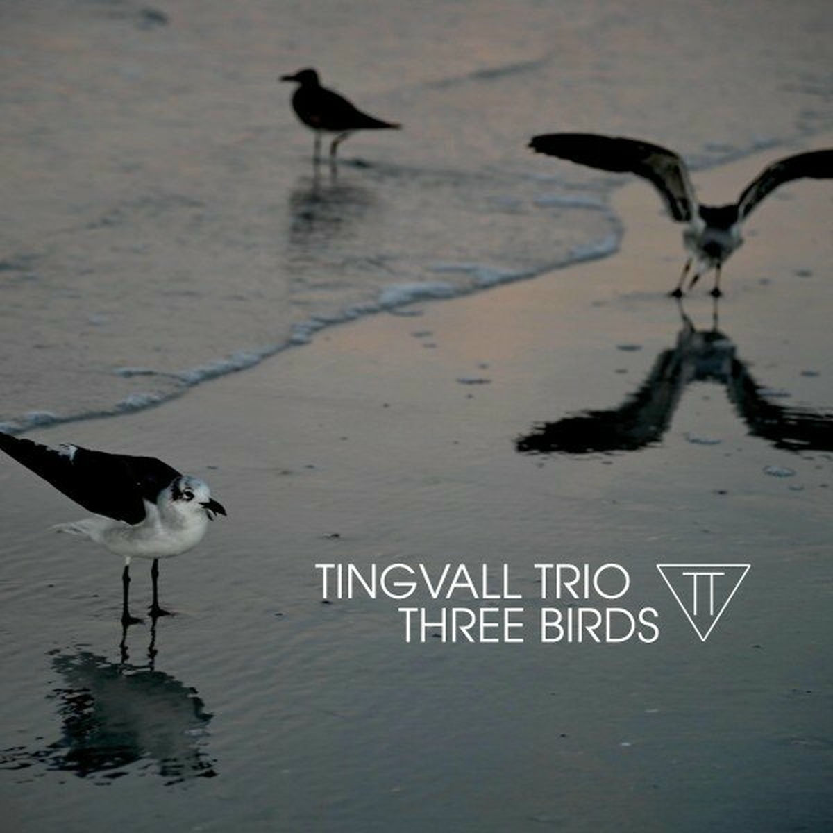 Album cover of Three Birds