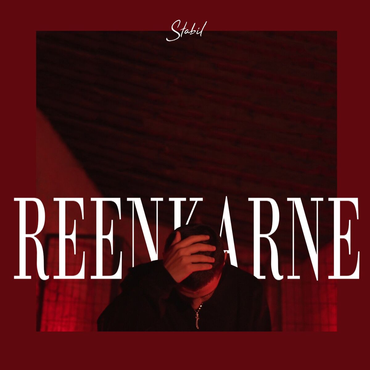 Album cover of Reenkarne