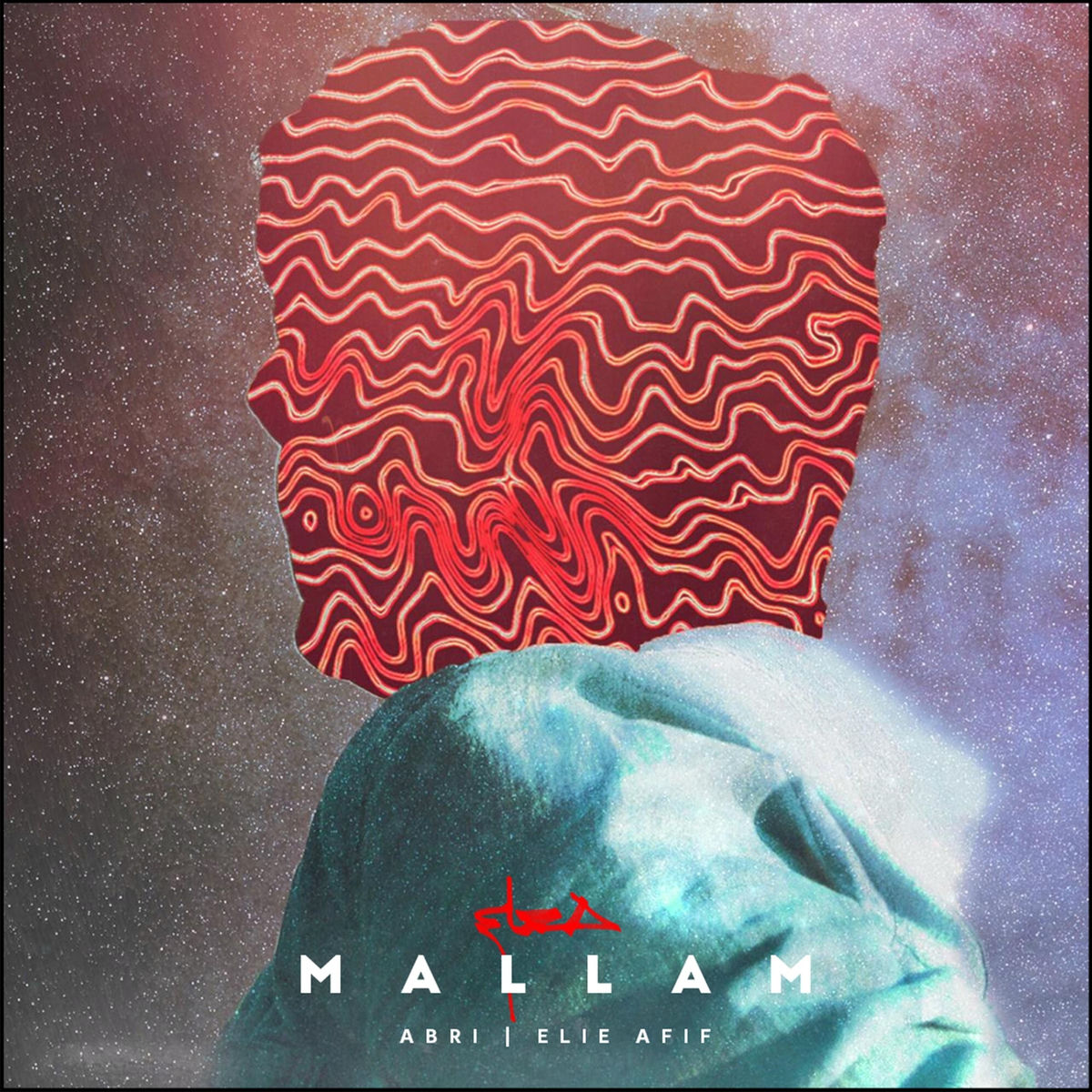 Album cover of Mallam