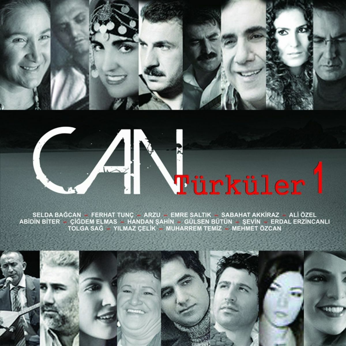 Album picture of Can Türküleri, Vol. 1