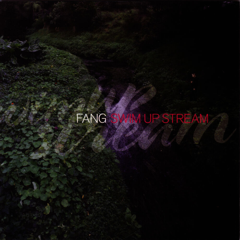 Picture of Swim Up Stream