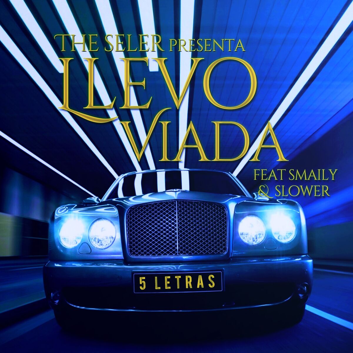 Album cover of Llevo Viada
