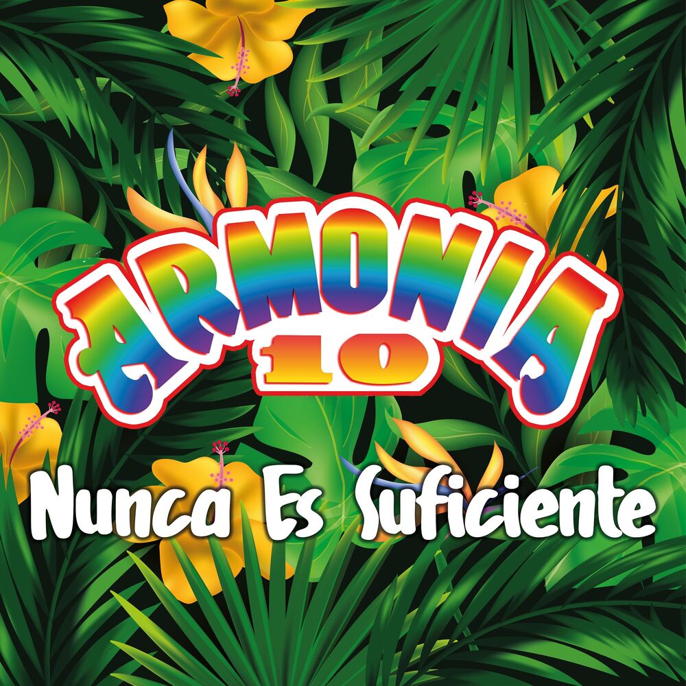 Picture of Nunca Es Suficiente