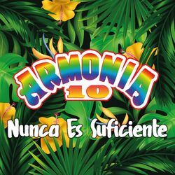 Cover of Nunca Es Suficiente