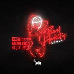 Cover of Bad Habits