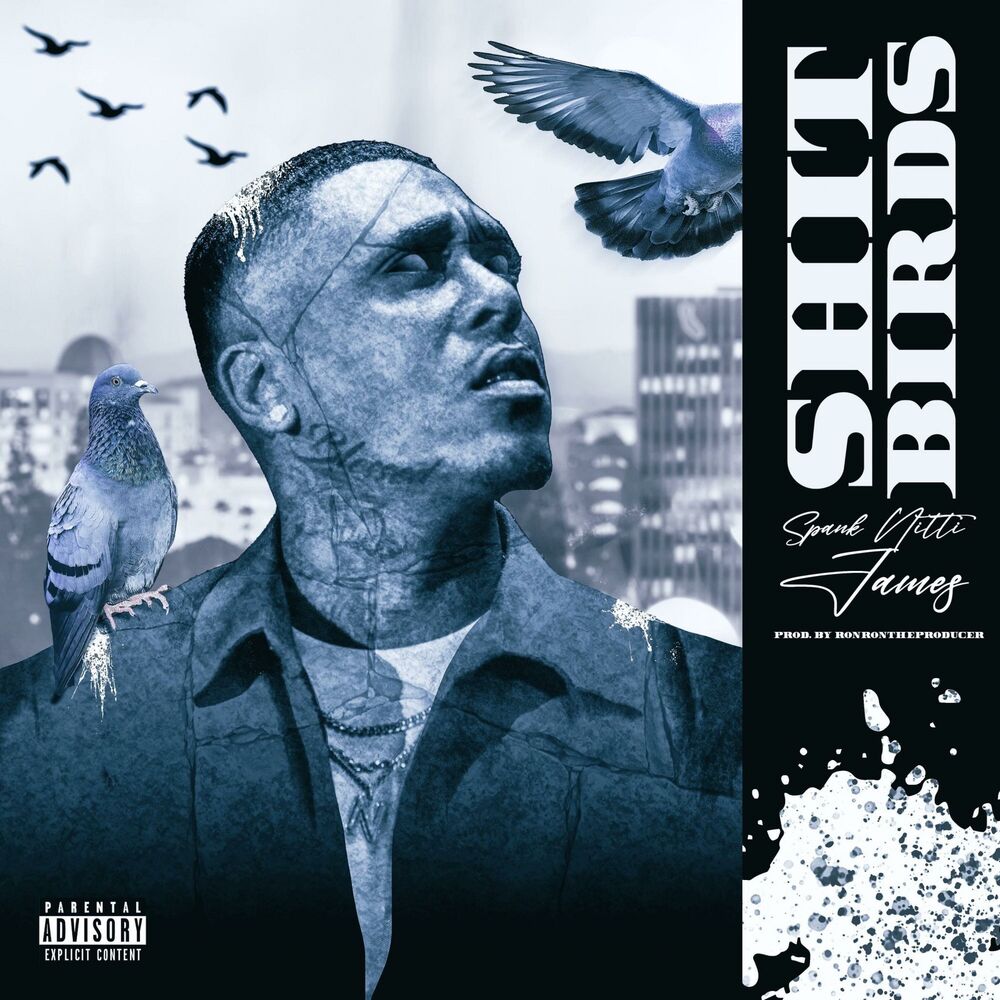 Picture of Shit Birds