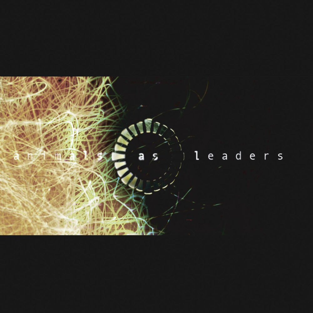 Picture of Animals as Leaders
