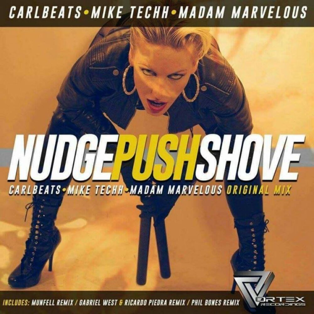 Picture of Nudge Push Shove