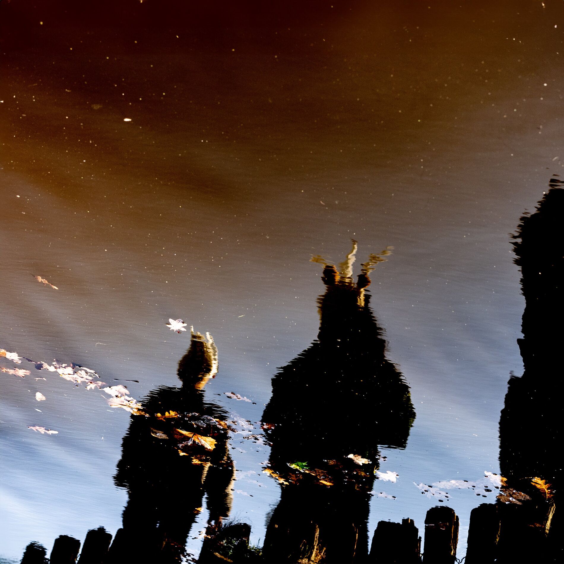 Album cover of Melt Away