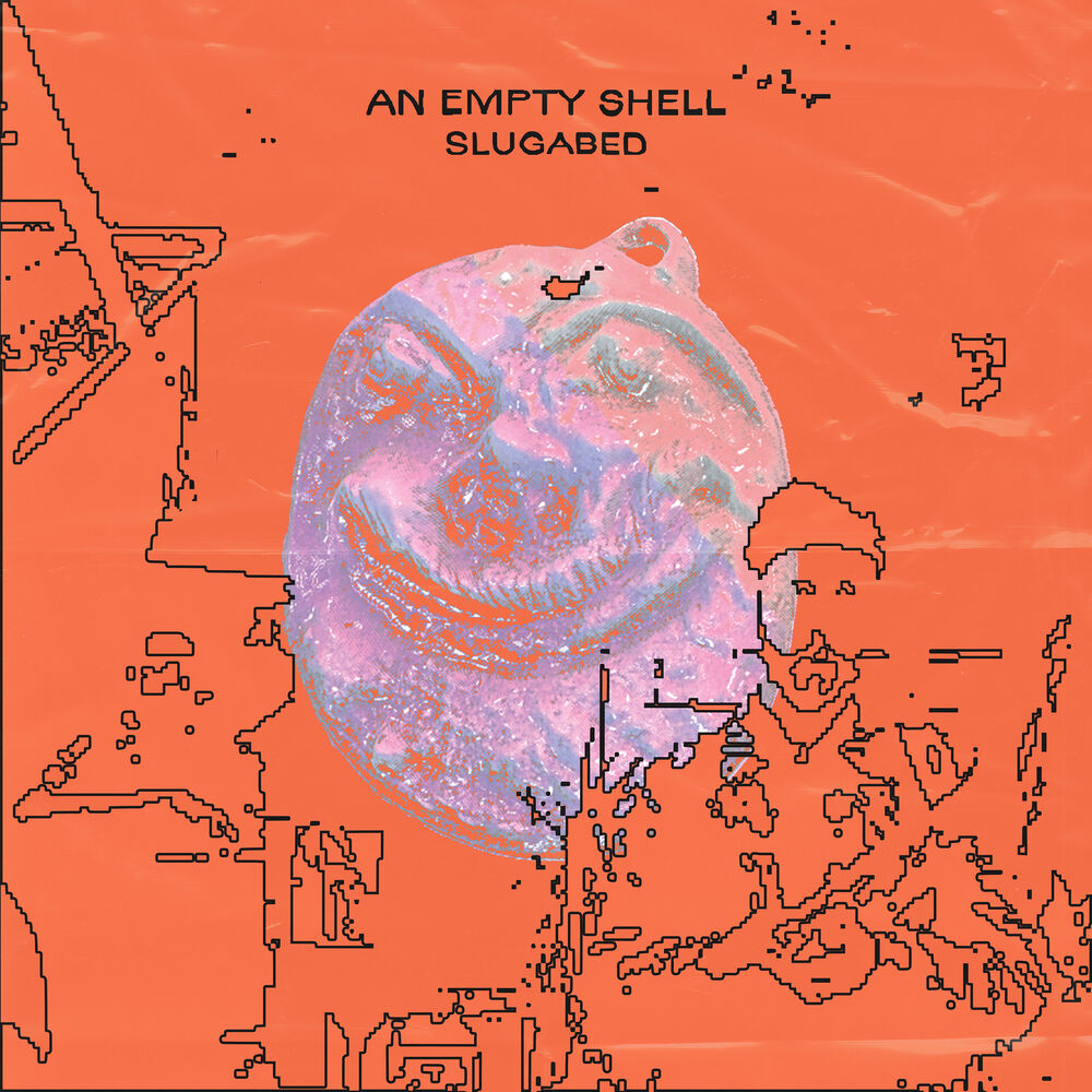Picture of an empty shell