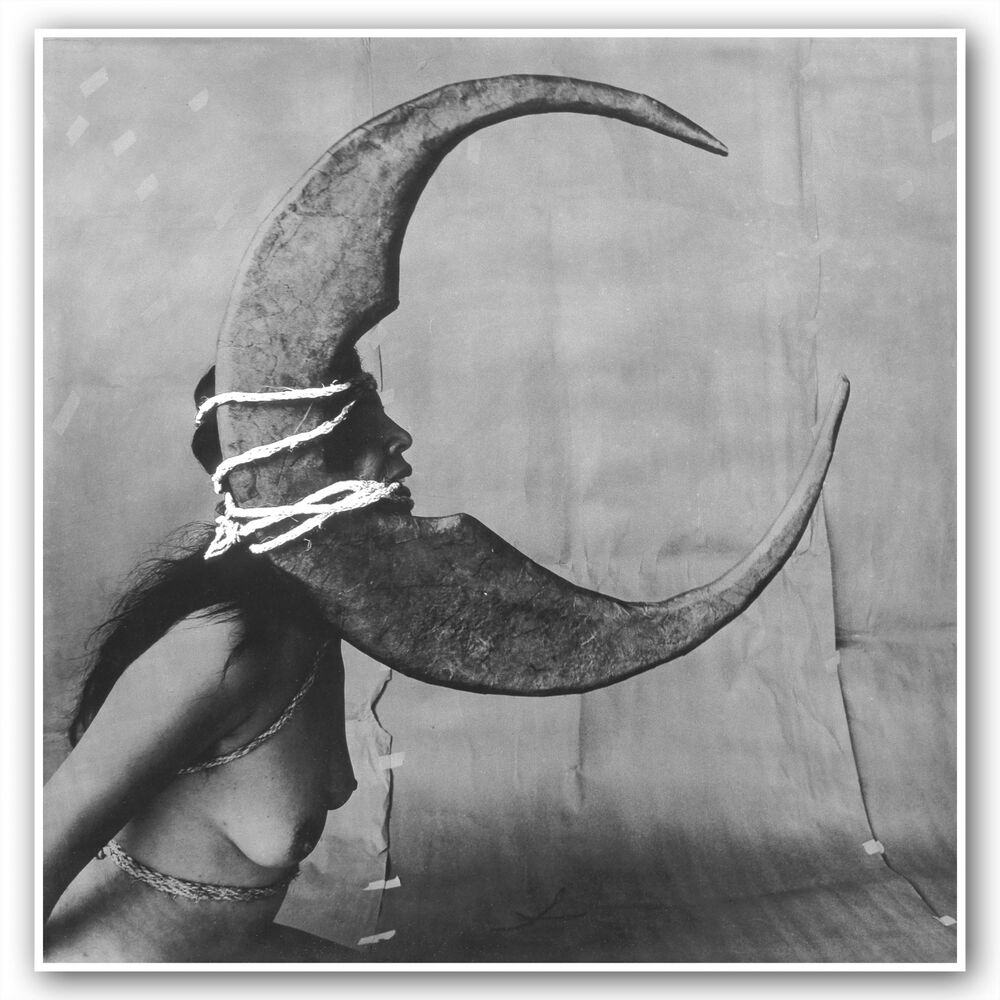 Picture of Moonlover
