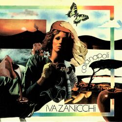 Cover of Cara Napoli