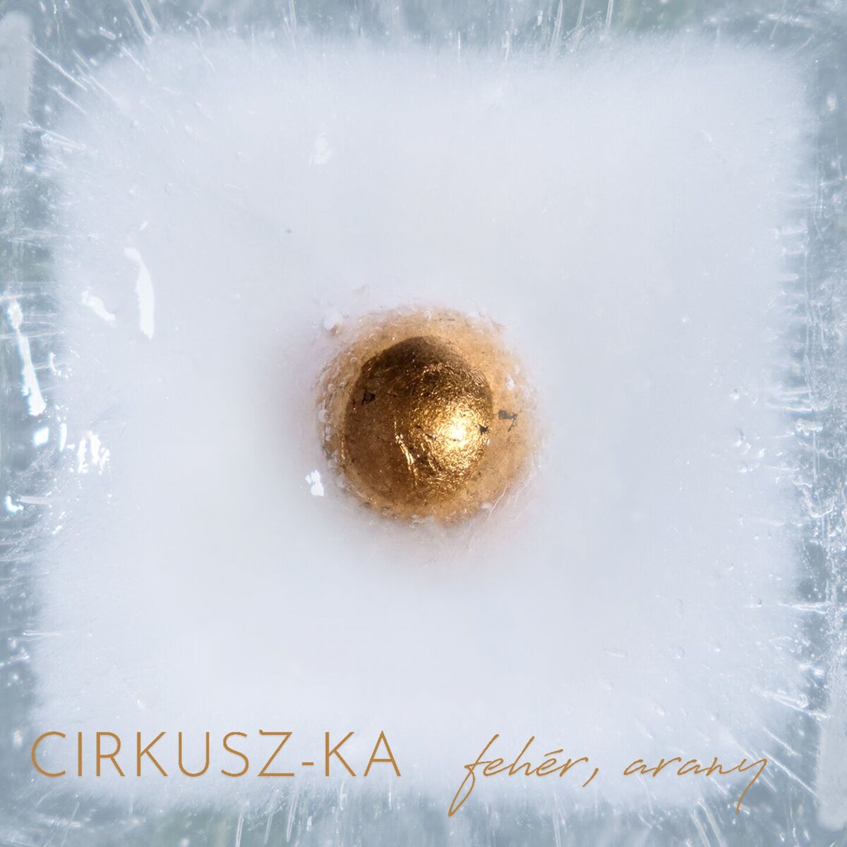 Album cover of Fehér, arany
