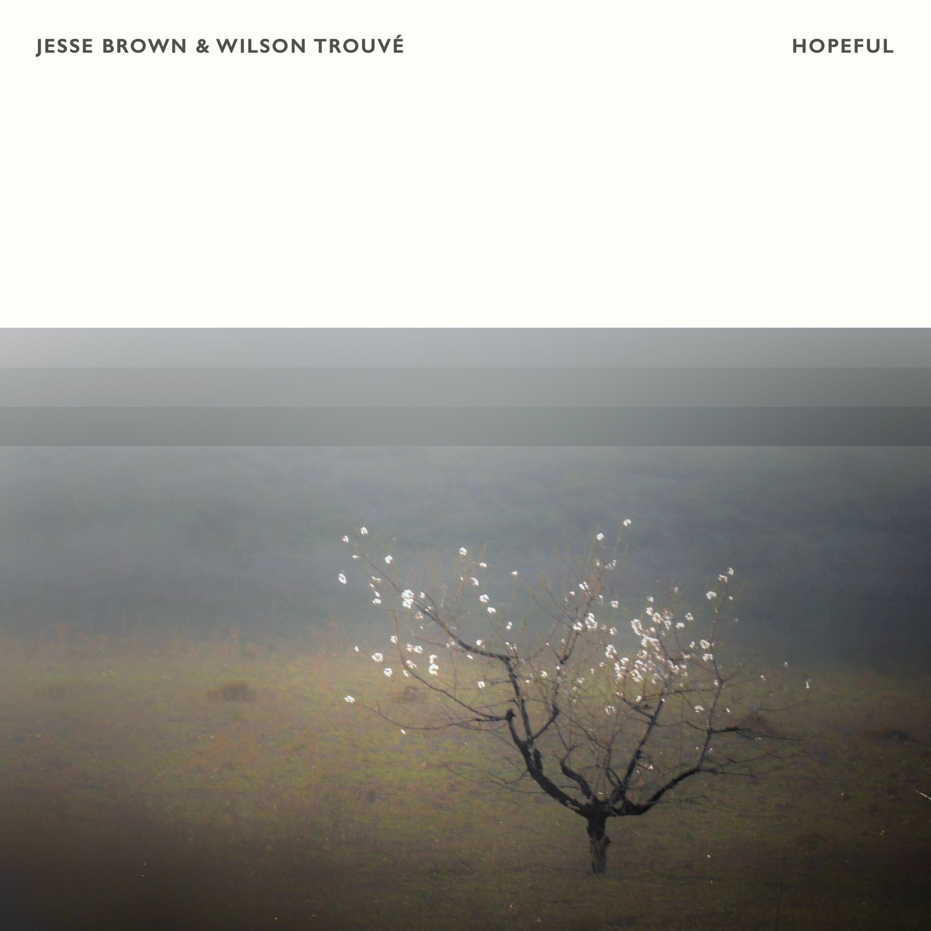 Album cover of Middle Sleep