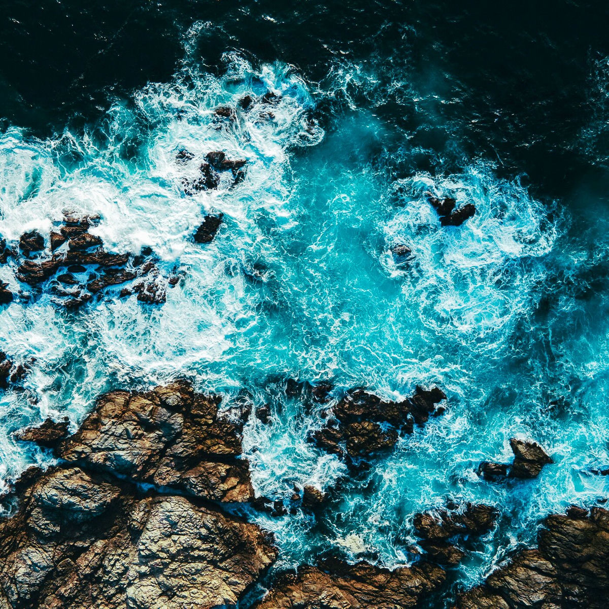 Album cover of ! ! Rocky Shores ! !