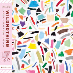 Cover of A Dancing Shell